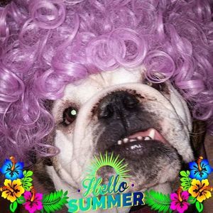 Meet your Posher, Jo